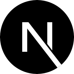 next js Technology