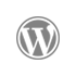 Logo - squarespace